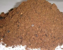 Fish meal powder