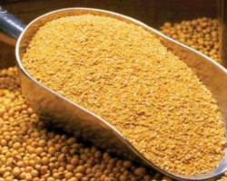 Soybean meal