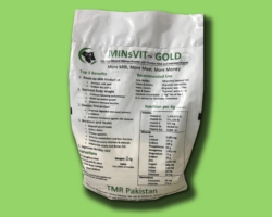 MINsVIT-GOLD